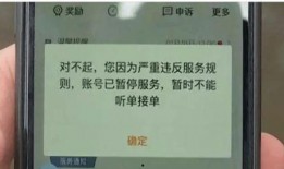 上海网约车最新爆料,行业变革在即，司机与乘客权益如何保障？
